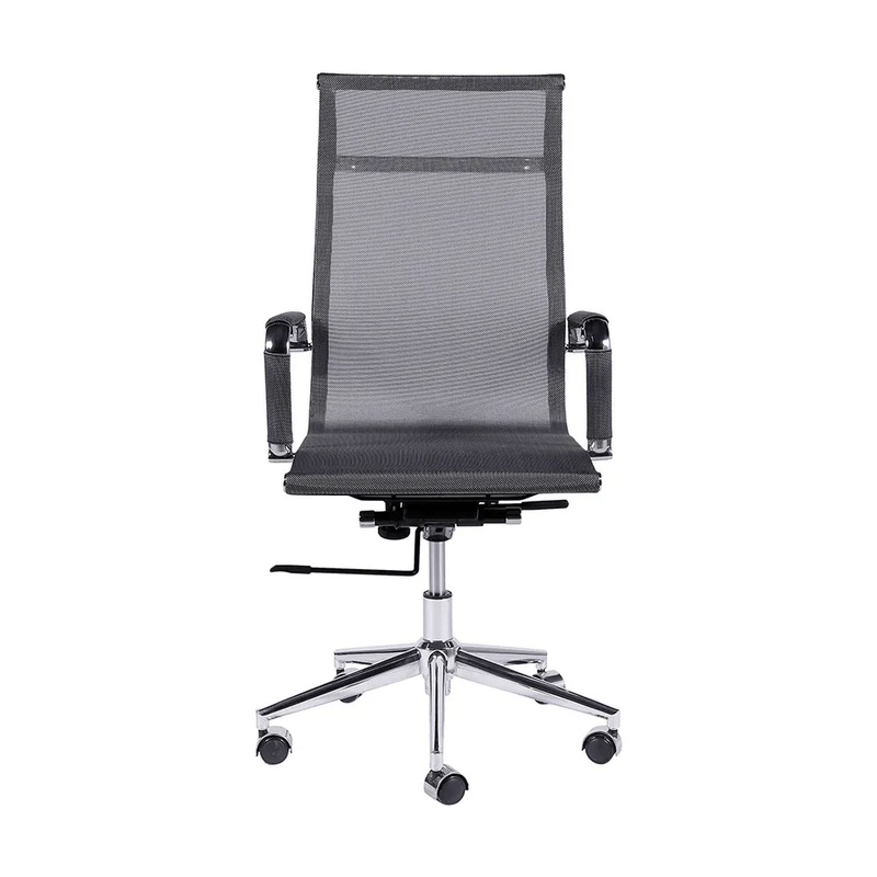 est-diretor-mesh-cin-2.png